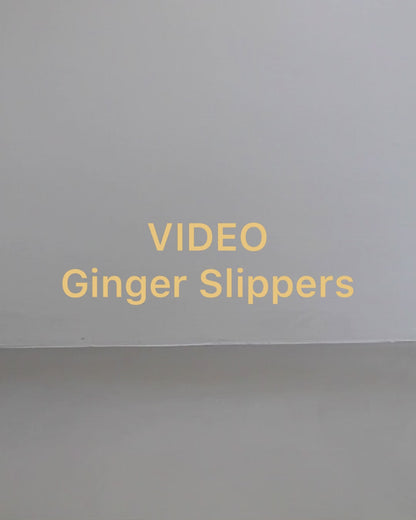Ginger Slippers